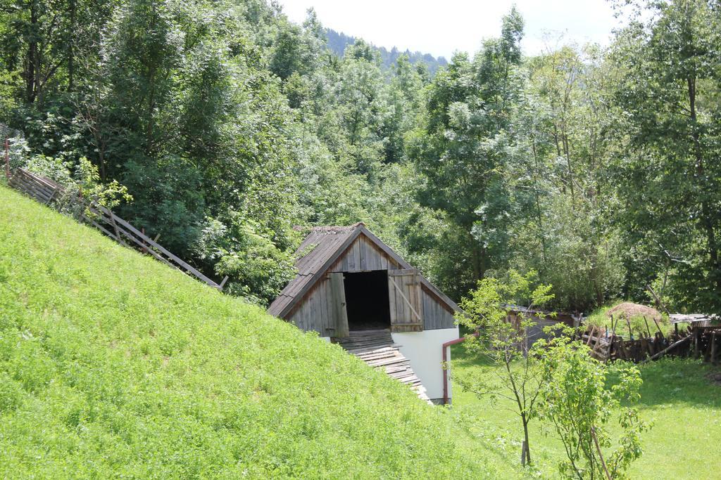 برانْ Teo Guesthouse المظهر الخارجي الصورة