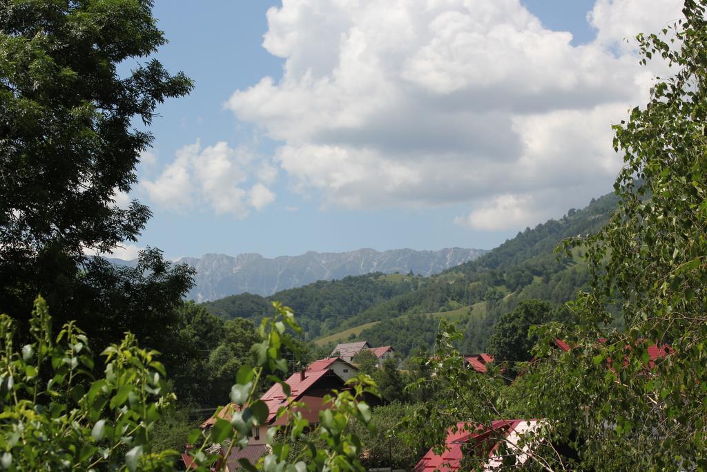 برانْ Teo Guesthouse المظهر الخارجي الصورة